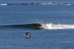 LineUps-SurfViews-Landcapes_Foto_Michael_Tweddle-@nat.wild_.photos_14