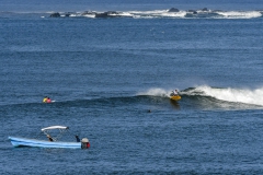 LineUps-SurfViews-Landcapes_Foto_Michael_Tweddle-@nat.wild_.photos_15