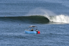 LineUps-SurfViews-Landcapes_Foto_Michael_Tweddle-@nat.wild_.photos_17