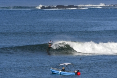 LineUps-SurfViews-Landcapes_Foto_Michael_Tweddle-@nat.wild_.photos_19