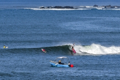 LineUps-SurfViews-Landcapes_Foto_Michael_Tweddle-@nat.wild_.photos_28