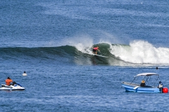 LineUps-SurfViews-Landcapes_Foto_Michael_Tweddle-@nat.wild_.photos_40