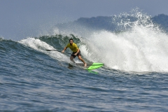 SF_H2_SUP-SURF-Fotos_Michael_Tweddle-@nat.wild_.photos