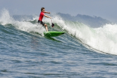 SF_H2_SUP-SURF-Fotos_Michael_Tweddle-@nat.wild_.photos_5