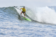 SF_H2_SUP-SURF-Fotos_Michael_Tweddle-@nat.wild_.photos_9