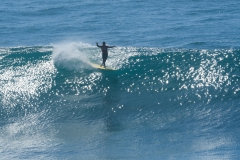 Benoit-Clemente-ECU-Longboard-2