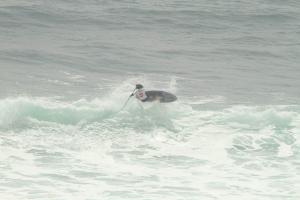 PUR - OMELV GARCIA IMG 0332